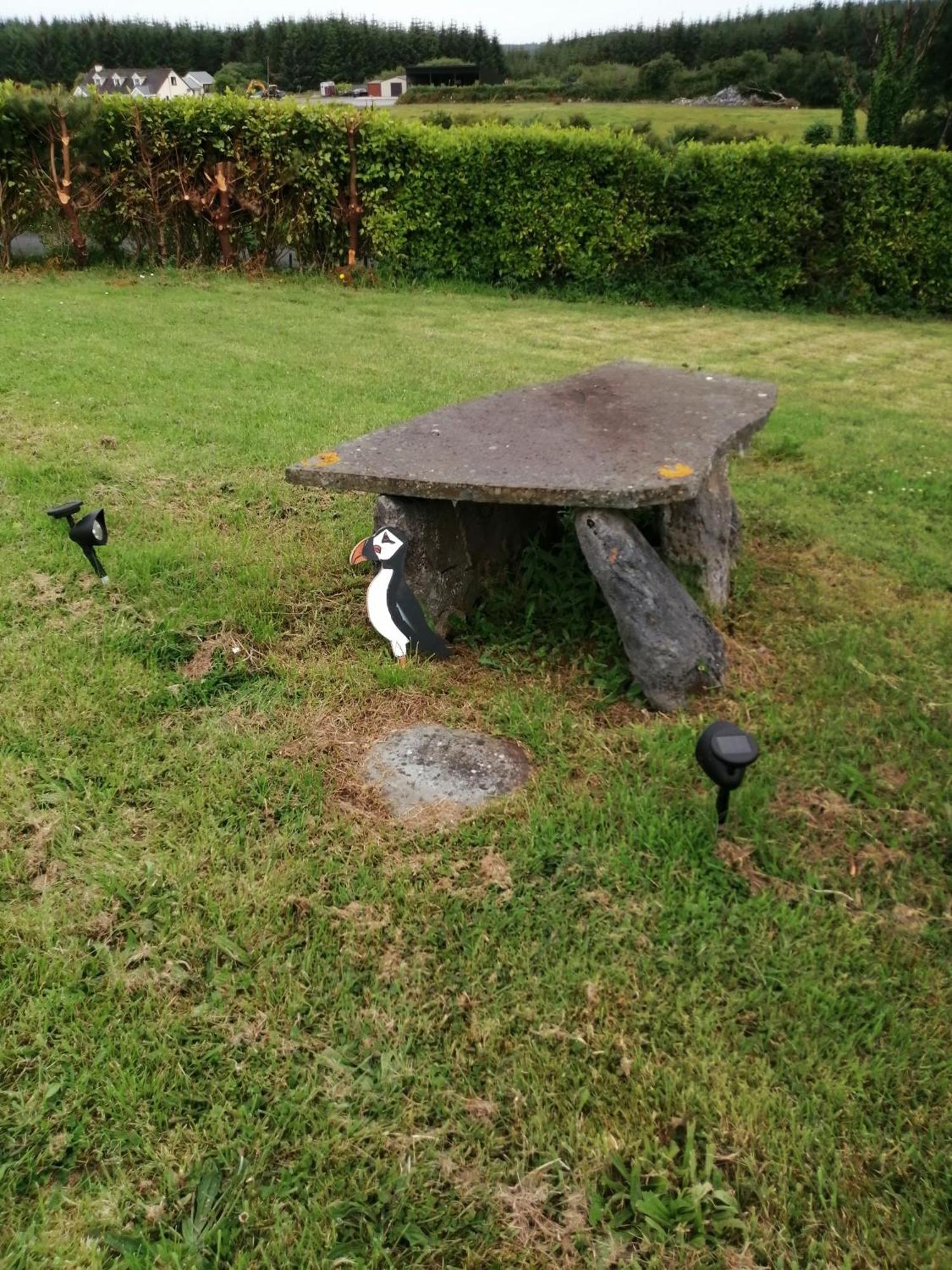 Puffin Rooms Lisdoonvarna Buitenkant foto